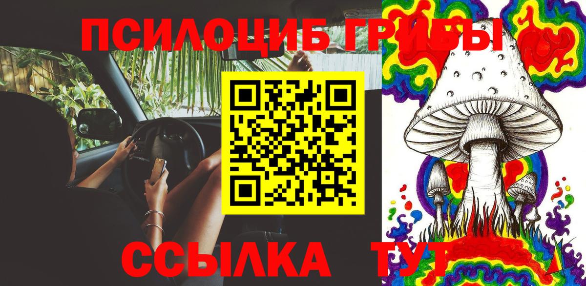 Галлюциногенные грибы Psilocybine cubensis  Вход с VPN  Снежинск  что такое   Псилоцибиновые грибы GOLDEN TEACHER 